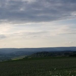 Meet your Posher, Posh